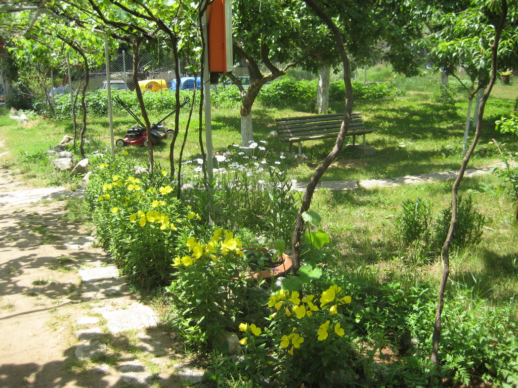 pastuh - 04.06_23.2011